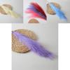 Simulated Phragmites Australis With Bright Feathers For Event Decoration And Photo Shoots