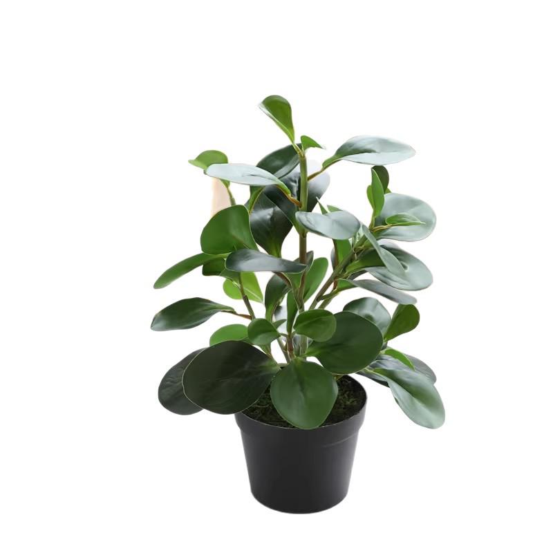 Artificial Eucalyptus Branches and Leaves for Decorative Use