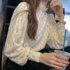 Hollow Out Frosted Lace Blouse Spring Autumn Top Women Korean Slim Fit Zippered Half High Collar Base Shirt