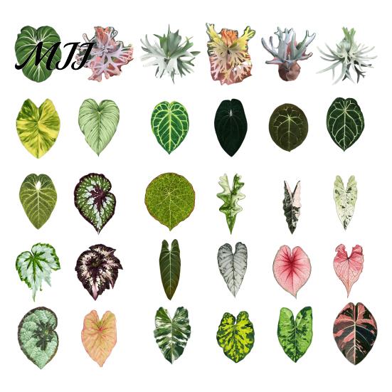 Plant Home Decor 3D Tropical Plants Refrigerator Magnet, Acrylic Green Decorative Fridge Metal Surface Magnet Memo Notes Photo Holder for Kitchen