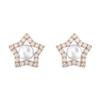 Stella Personalized Design Gold-Plated Earrings Women Earrings 5645465