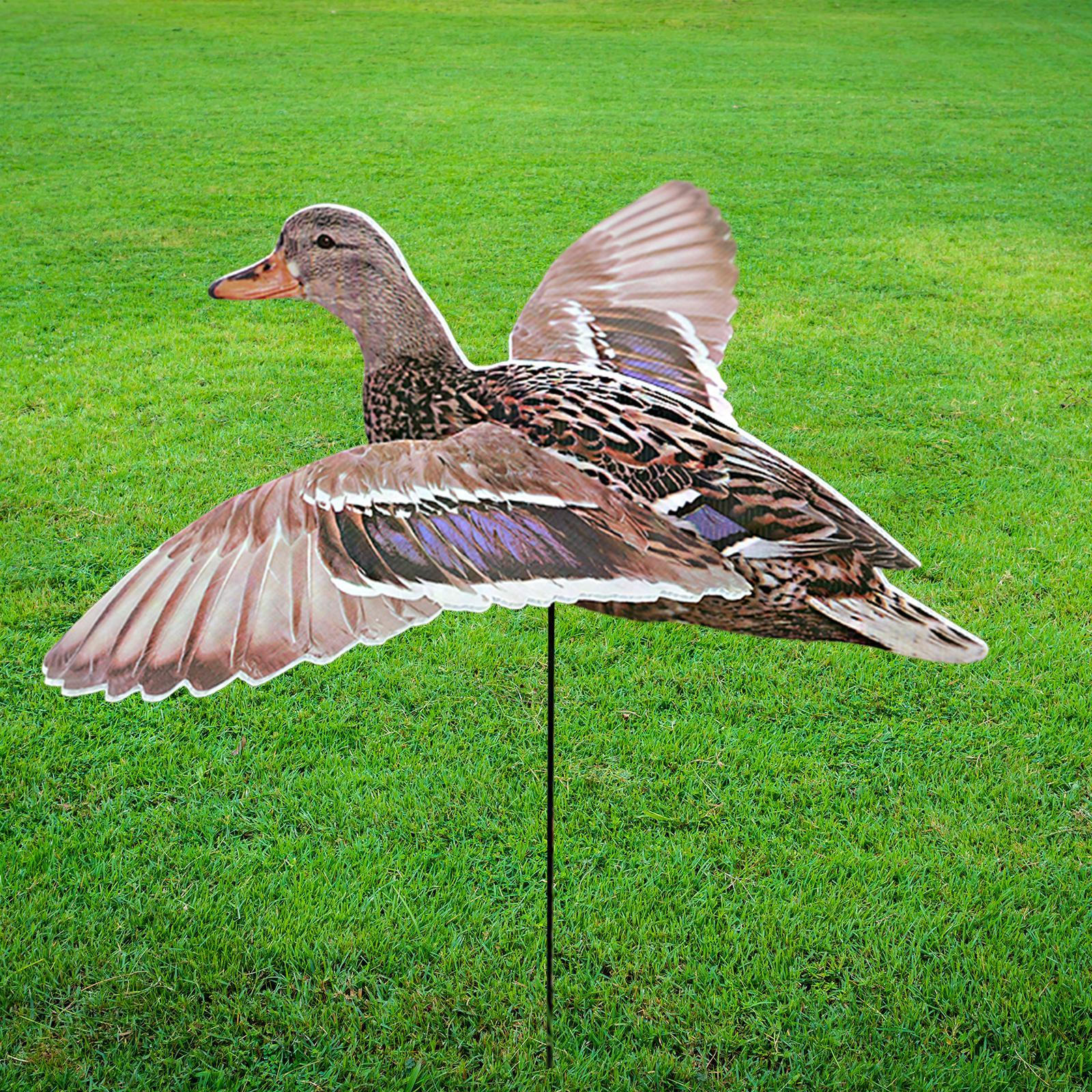 

Outdoor Duck Decoy Easily Install Multipurpose Realistic Simulation Female Duck