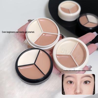 Dreifarbiger transparenter & transluzenter Concealer: Langanhaltendes, zweiseitiges Flüssigprodukt für Aknenarben, trockene & fettige Haut.