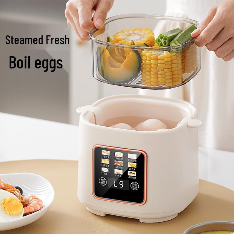 Multi-Functional Mini Egg Cooker for Breakfast, Steamed Egg Cooker 110V, USA, Japan, Taiwan, Canada