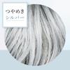 Bigen Gray Style Gray Care Shiny 200g Gray Treatment, Silver, (For Hair)