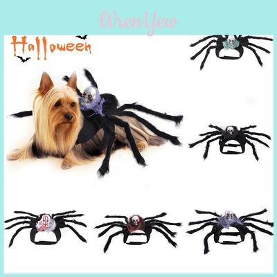 Cute Pet Spider Costume For Halloween Party