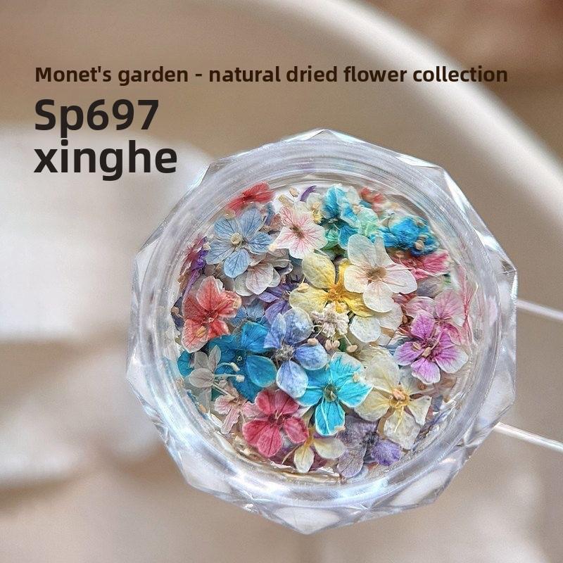 Materiale fiore secco per nail art misto squisito materiale fiore a cinque petali decorazione unghie floreale piccola gioielleria per unghie floreale