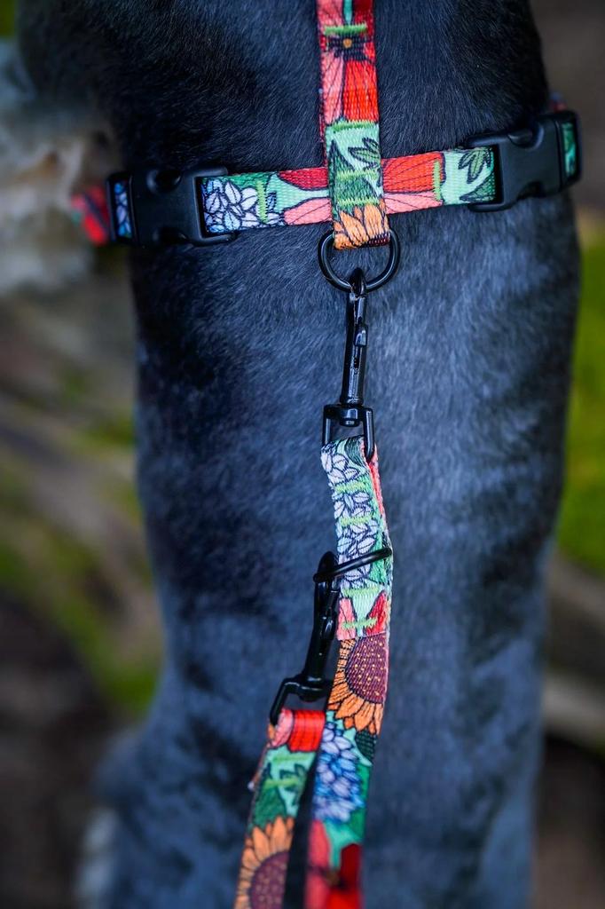 CITY LEASH for a large dog (shepherd dog) over 20 150 Ukory FLOWERS