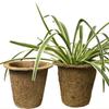 3pcs Biodegradable Nursery Pots Coconut Fiber Flower Pot  For Plant Garden Supply