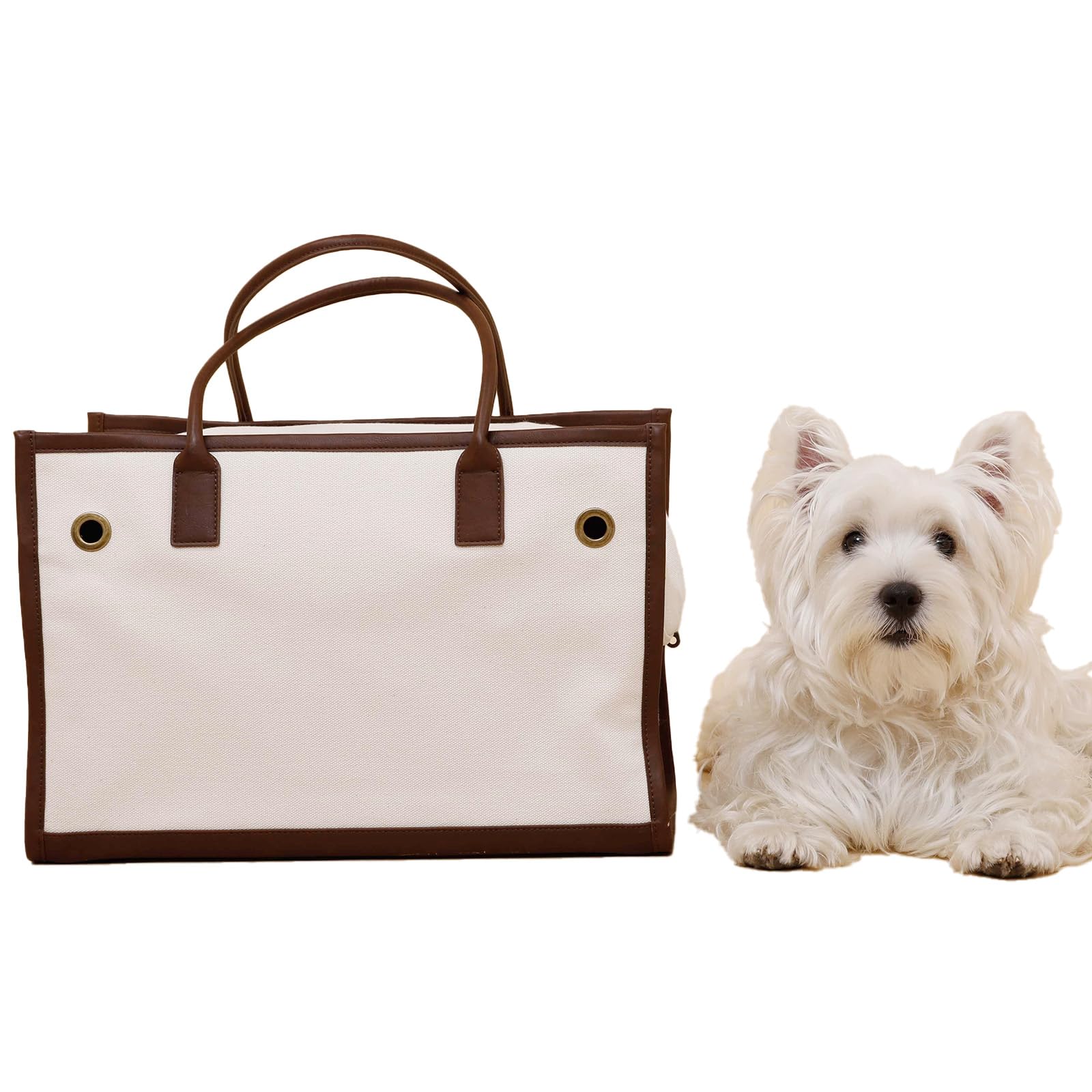 

Piping Tote Carry M Dog Carry Case Carry Bag Carry Tote Canvas Cool Stylish Brown [citydog]
