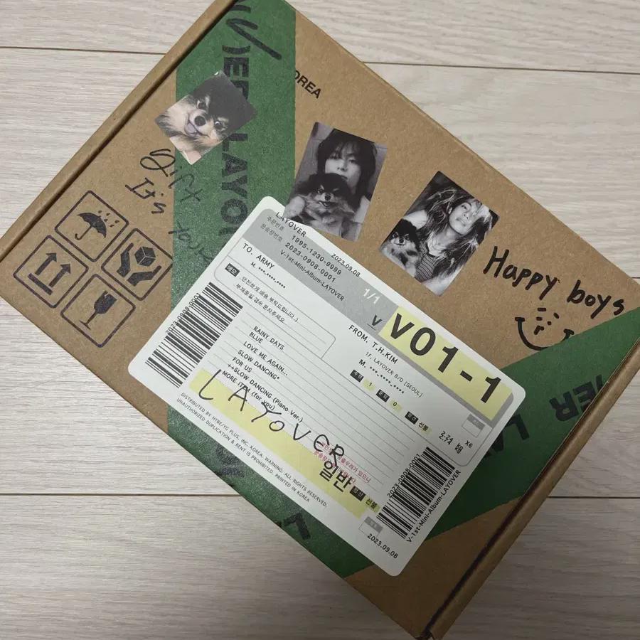 Bts V Solo Album