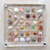 Mini durchsichtige Muschelsammlung Box - Hohe Transparenz, Stark magnetischer Acryl-Koffer