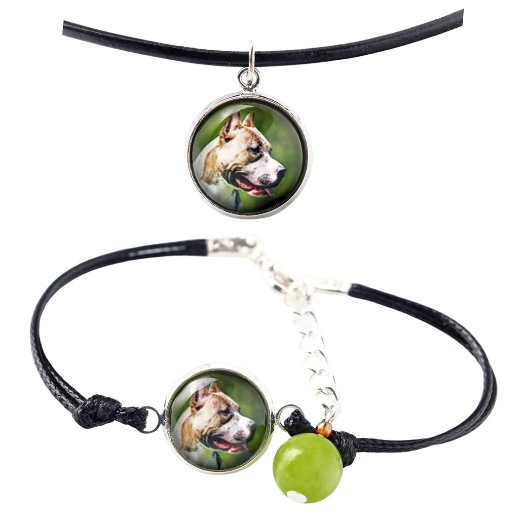 Pit Bull, American Pit Bull Terrier, Pitbull Terrier, APBT – A set of jewelry with your photo, handmade set | Art-Dog