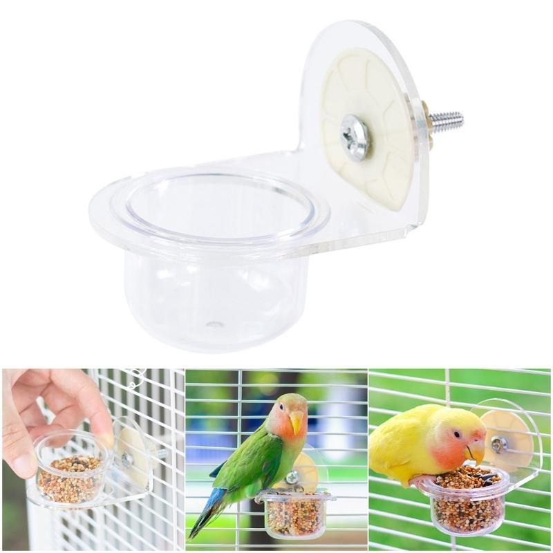 Bird Bowl Training Cup Feeding Bowl Parrots Cage Toy for Cockatiels Budgies Parrots Gym Toy Feeding Cup