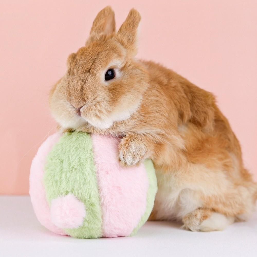 Fluffy Rabbit Calming Ball Bite Resistant Rabbit Soothing Toy Rabbit Fur Ball Playing