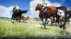 Winning Post 10 [PS5]