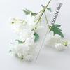5 Fork Artificial Peony Flower Plastic Fake Flower Silk Peony Flower Branch  Balcony Decoration