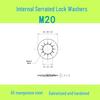 M3-M30 Blackened 65 Manganese Steel Multi-Tooth Inner Lock Washer (GB861.2)