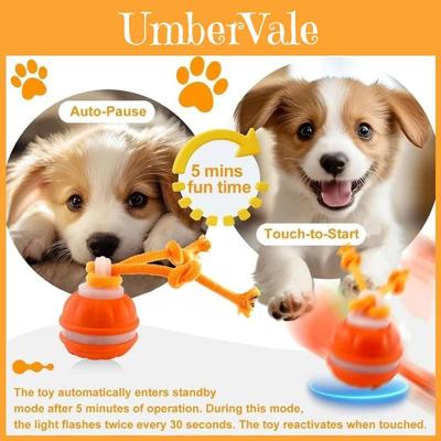 Perros – Juguetes para perros