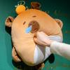 New Cartoon Capybara Pillow with Blanket with Hand Warmer Nap Pillow 3 in 1 Leg Cover Warm Blanket Student Dormitory