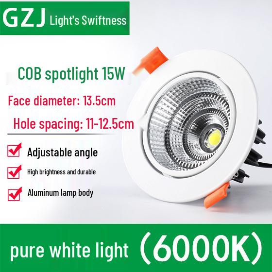 Recessed 20W Spotlight Downlight for Clothing Stores, 15-30W Commercial Ceiling Light