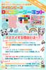NicoRate Mini Iron Beads 24 DX Starter Includes Special Guidebook for Immediate Approximately Beads Set, 2.6mm, Colors, Kit, Creation, 14,000