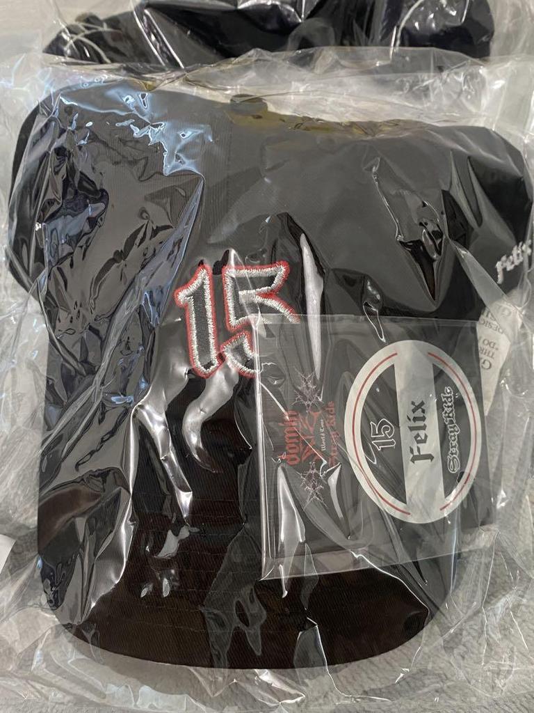 [USED] SKZOO Pogari Ecopa Stray Kids Plush Cap (Post-sale)