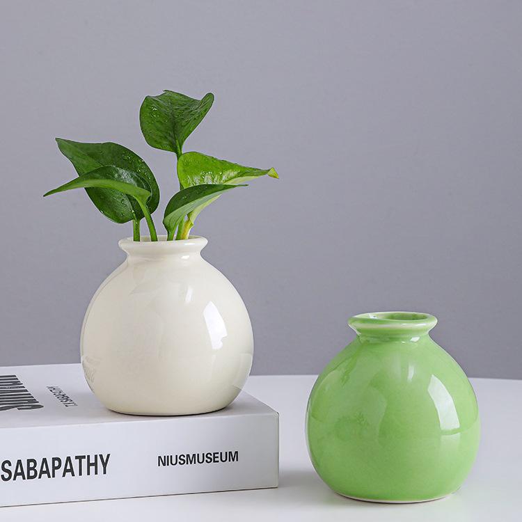 Small Ceramic Desktop Hydroponic Vase for Pothos - Simple Decorative Ornament for Office