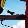 Metal Cat Garden Sign Easy Installation Cat Chasing Mouse Ornament Black