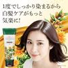 Kagayaku Cosme ARGANESE Oil-In-Color Care 180g with Brush Dark Brown Natural Brown for Gray Hair