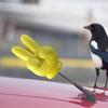 Hand Gesture Car Antenna Ball - Foam Roof Ornament, Exterior Styling Decoration | Creative