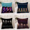 W-Westlife The Twenty Tour Cushion Cover Premium Comfort Reversible Pillow Cover - Dual - Use Design for Home & Car