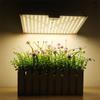 5000W Ultra Thin Grow Light Led Full Spectrum Lamp Led Plant Light Bulb Greenhouses Indoor Phyto Lamp Grow Tent