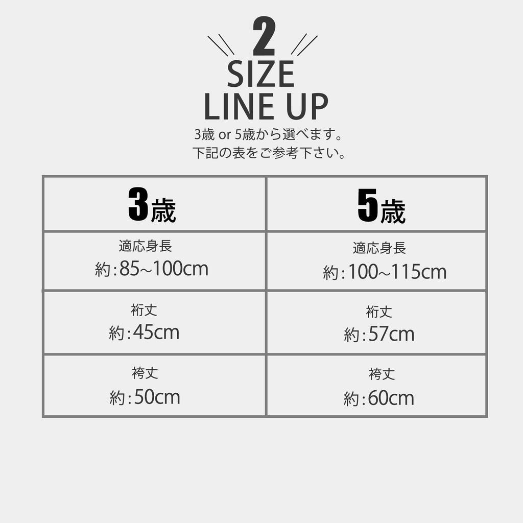 Ensemble Full 753 Paintings years [NISHIORI] Shichi-Go-San Boys' Haori, Hakama, Kimono, Set, Set, (3 old, B-6)