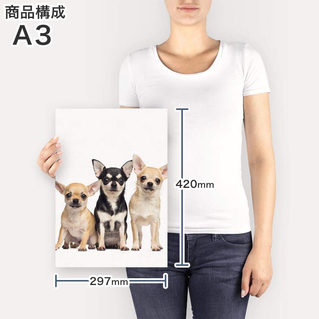 Art 420mm x Wall Wooden Stylish Interior Animal Photo Panel, Painting, Decoration, igsticker, 297mm, A3, Photo, Hanging, Frame, Decor, 002885, Animal,