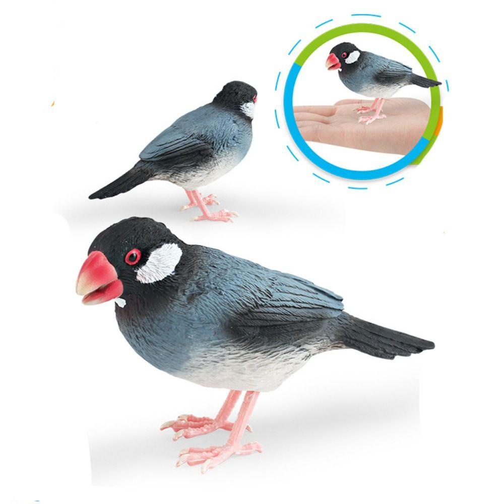 Creative Simulation Bird Figurines Handpainted Miniatures Model DIY Crafts Animal Sculpture  Office
