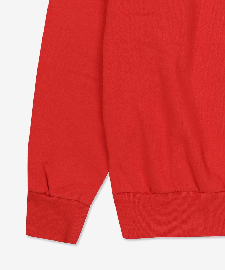 ARIES Mini Problem Sweatshirt - Red / Star20009Rd