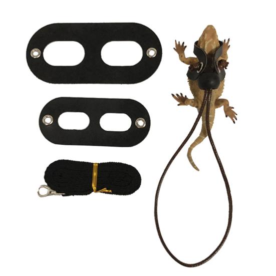 

Adjustable Reptile Leash Bearded Dragon Lizard Harness Wing Traction Rope Set without Wing чорний