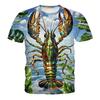 Funny Crayfish Graphic Short Sleeve Children's Clothing Boy Tshirt Fashion Casual Kids Summer Clothes Girl Clothes O-Neck Tops