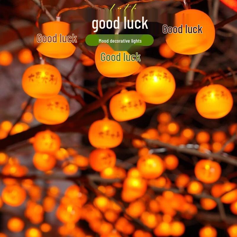 Oeny Solar Persimmon String Lights