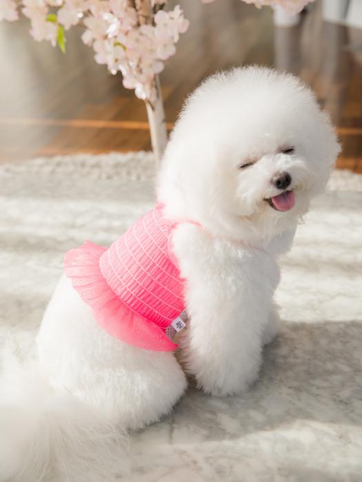 

SALTYHEARTY Hello Crop Blouse NEON PINK neon pink