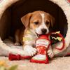 Pet Chew Toy Rope Knot Puppy Bite Resistant Interactive Toys Dog Chewing Toys Teeth Cleaning Interactive Pet Plush Toy