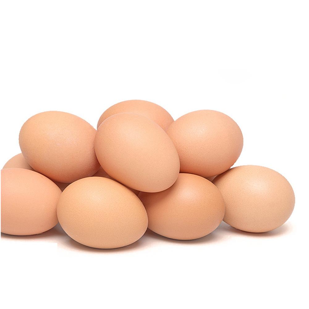 550 шт Пластиковые Искусственные Яйца Куриные Высиживание Симуляция Курятник Искусственные Яйца Фермерские Животные Товары Детские Игрушки Раскрашивание Яиц 5 Pcs 790₽