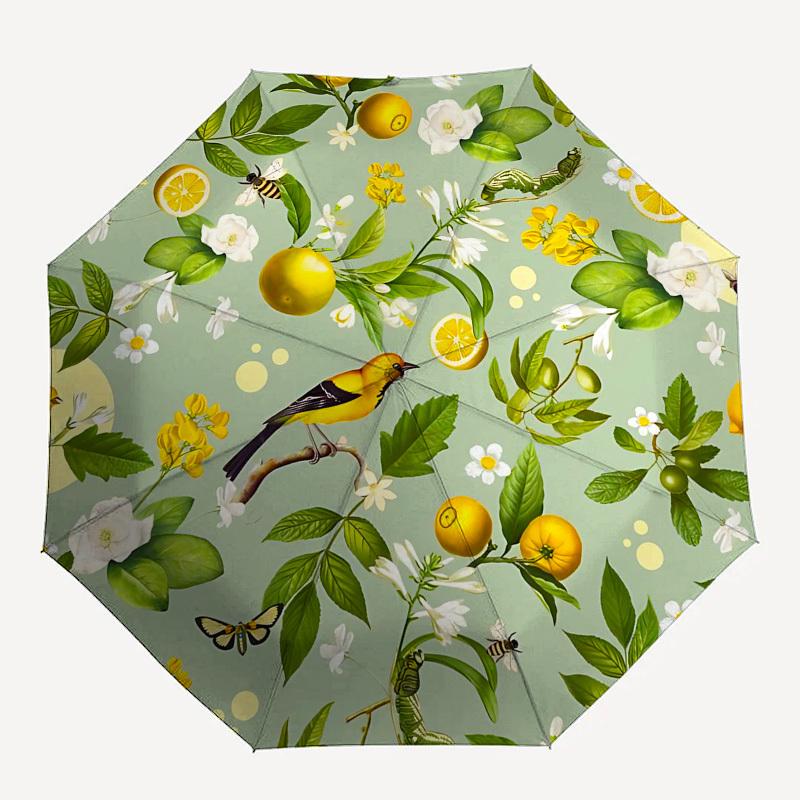 

1PC Lemon Bird Umbrella-8-Rib Reinforced Portable Folding Travel Suitable for All Seasons Outdoor Daily , Fun Design-Z0415
