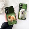 Pomeranian Dog Pet Animal Phone Cover for Samsung Galaxy Note 20 9 10 S8 S10 Lite S9 Plus A54 A53 A21S S10E A17 Coque Case