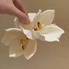 Sweet Magnolia Shark Clip Elegant Women Hair Accessories Headwear Yulan Flower Hair Claw  Girls