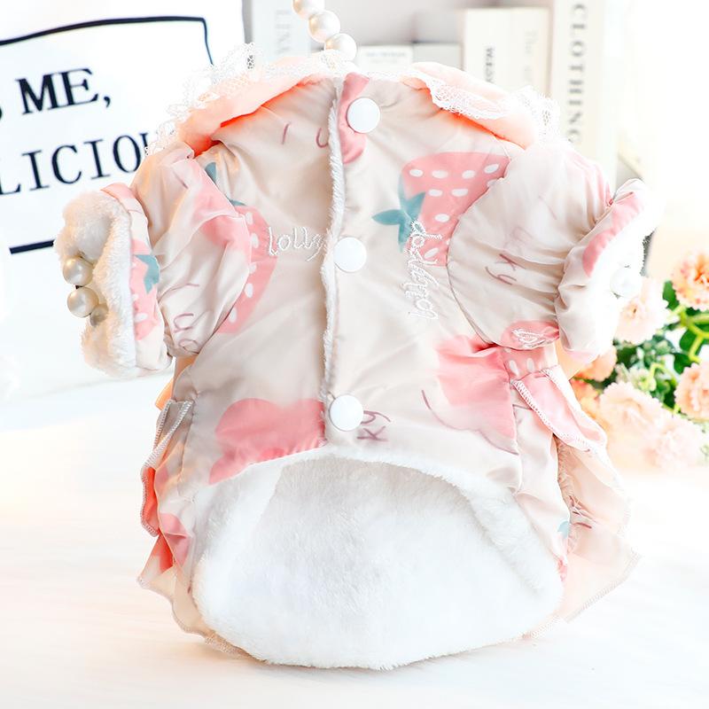 Dog Clothes Autumn and Winter Cat Princess Dress Fleece Thick Sweet Lolita Small Dog Pet Supplies