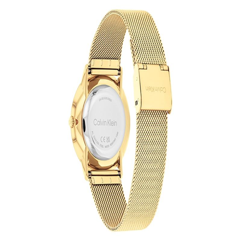 CALVIN KLEIN watch quartz movement steel strap silver dial same style for men and women 30 meters waterproof 25300003