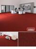 Large Area Pure Color Carpet for Bedroom, Living Room, Office & Commercial Spaces