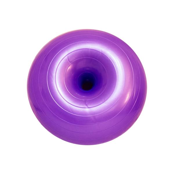 Nanpet Hund Patella Stärkung Donut Gymnastikball Kniebeugen Balance Ball Luxation Schutz Übung, lila, 1 Stück